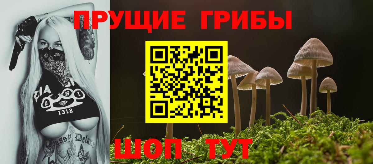 Псилоцибиновые грибы мухоморы Казань